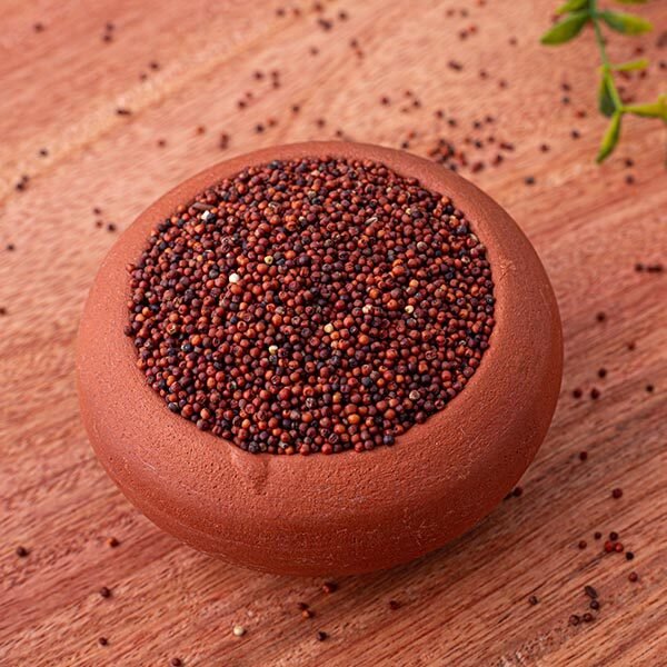 Finger Millet - Ragi